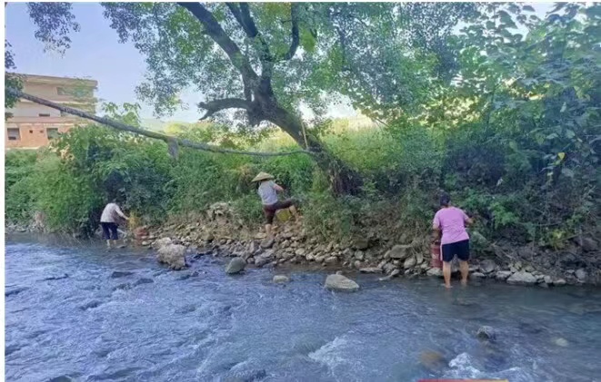 道县开展“护河爱水，清洁家园”行动