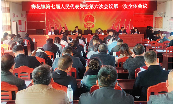 道县梅花镇召开第七届人民代表大会第六次会议